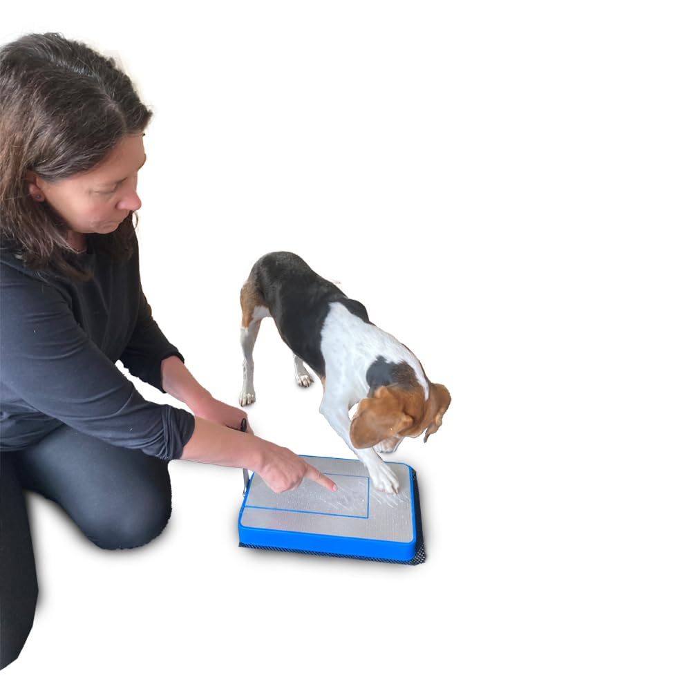 My dog hates dog nail clippers and dog nail grinders, so how do I trim my dog's nails? The Original Dog Nail Scratch Board - the Digger Dog Nail File, designed for a dog's more problematic front nails, may be the dog nail trimming solution for you.